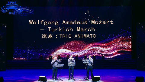 《Wolfgang Amadeus Mozart - Turkish March》--TRIO ANIMATO